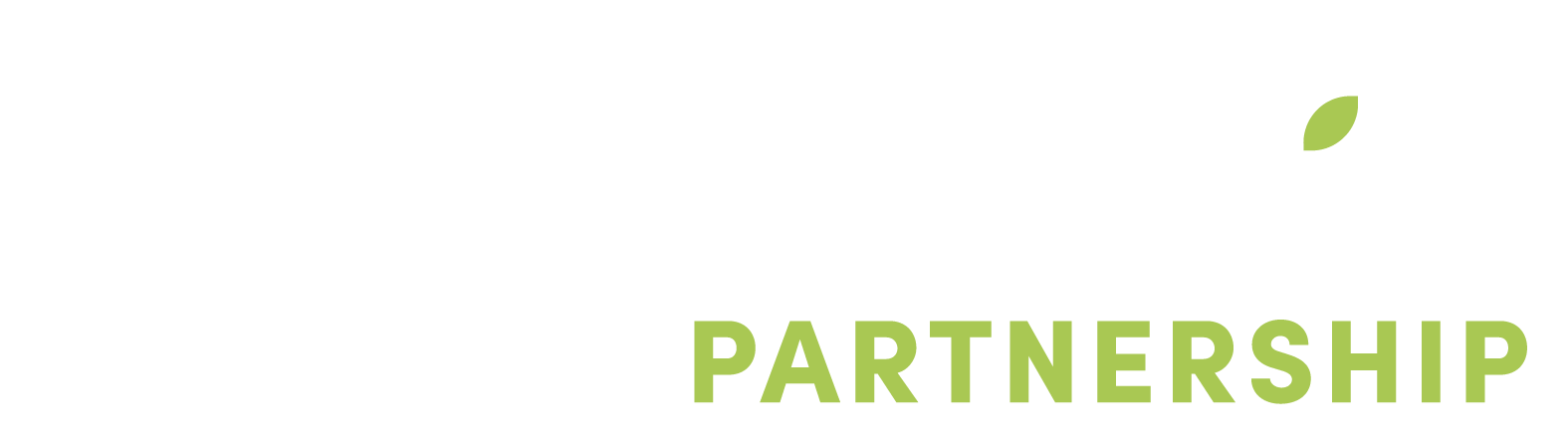 The Partner Institute