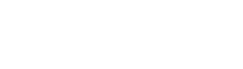 The Partner Institute